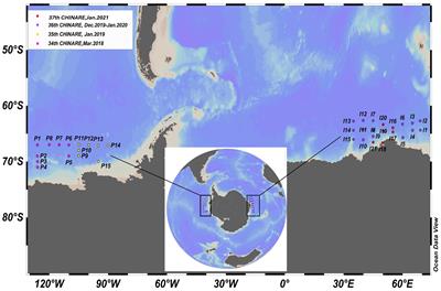 Zooplankton vertical stratification in the East-pacific and Indian sectors of the Southern Ocean